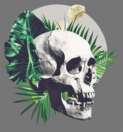 خاستری